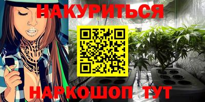 гашик Сланцы