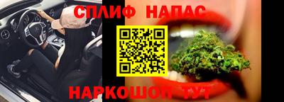 гашик Сланцы