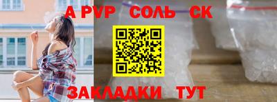 гашик Сланцы