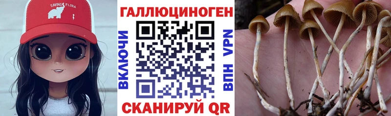darknet формула  Нурлат  Псилоцибиновые грибы Magic Shrooms 